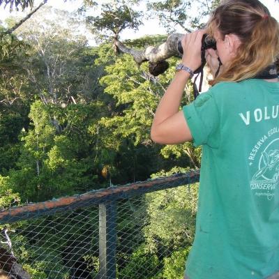 A Projects Abroad volunteer searches for birds in Peru. A rainforest conservation group volunteer searches for birds on a trip to Peru.